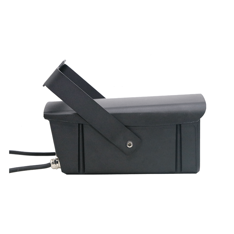 2W/3W Waterproof Outdoor RGB Firefly Laser Lights Projector For Holiday Parties