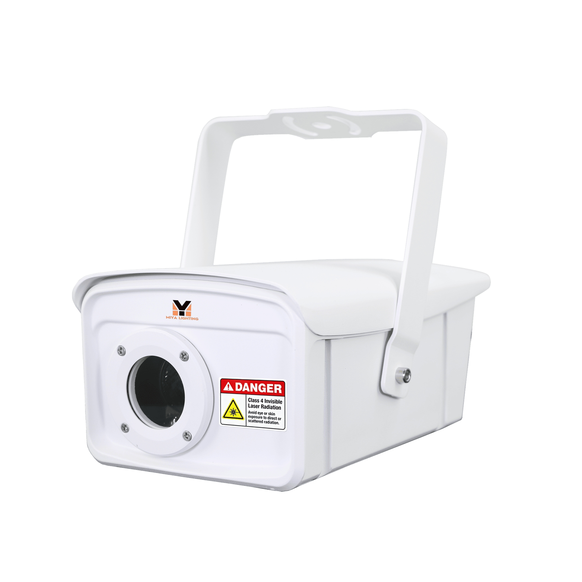 2W/3W Outdoor Waterproof Firefly Laser Lights Projector For Christmas Party