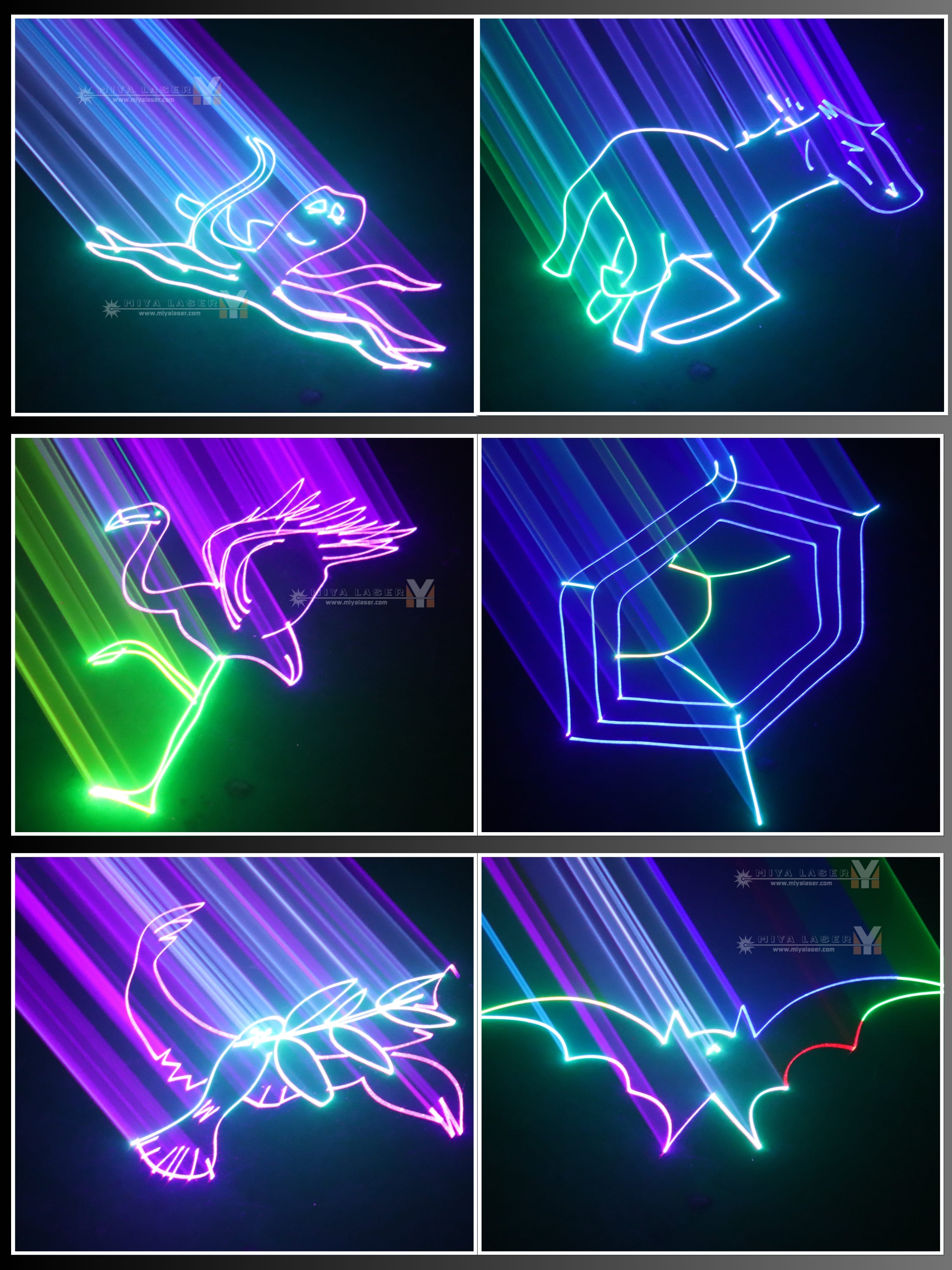 Professional 5W RGB Animation Laser Projector DMX ILDA for DJ Club Lig