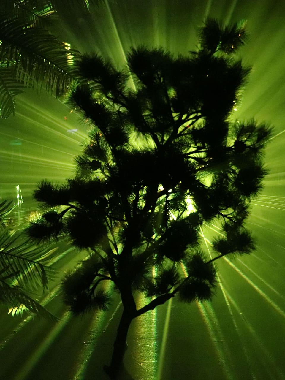 Unique Yellow Laser Glow