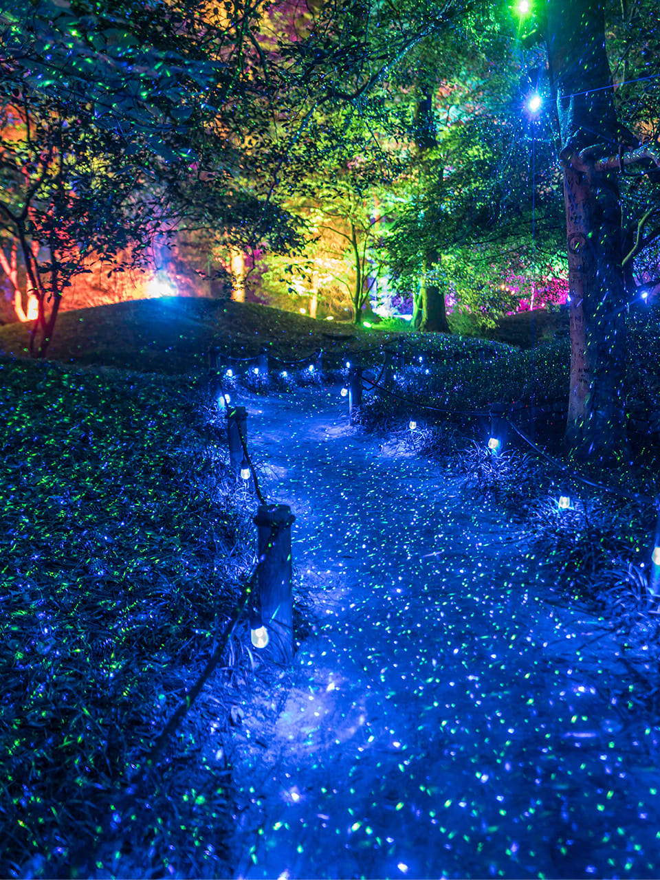 Compact & Easy Setup