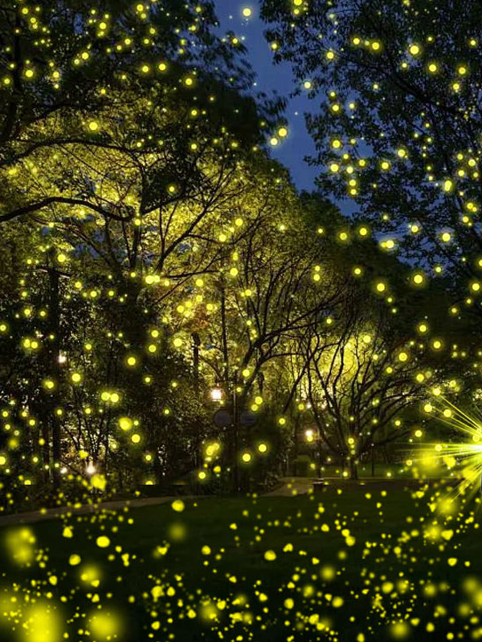 Perfect for Holiday Lighting