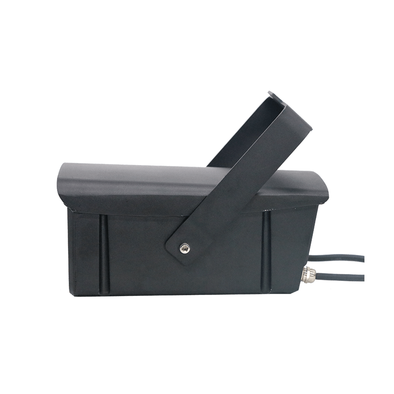 2W/3W Waterproof Outdoor RGB Firefly Laser Lights Projector For Holiday Parties