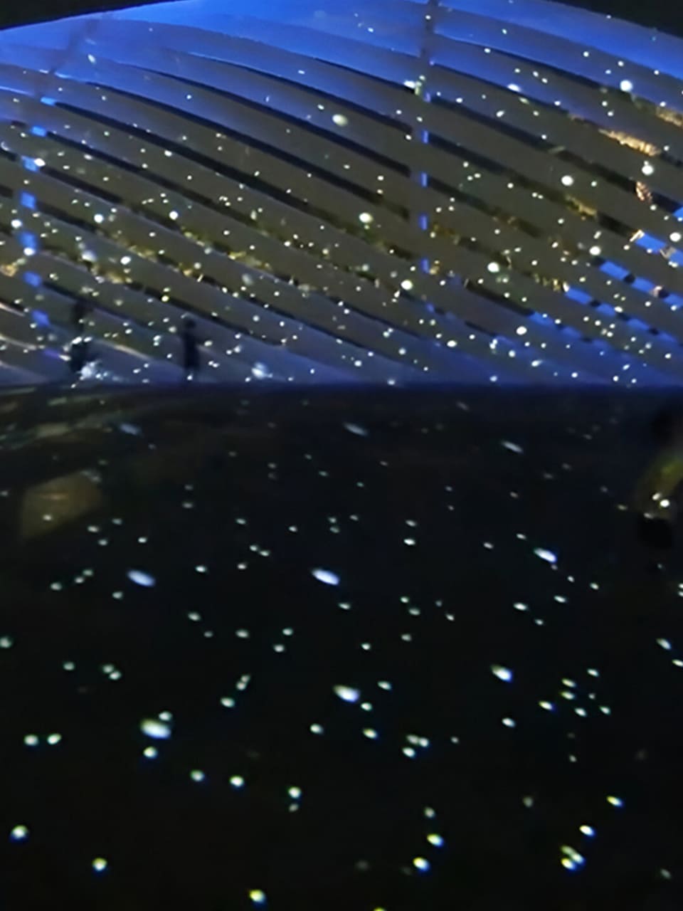 Dynamic Visuals
