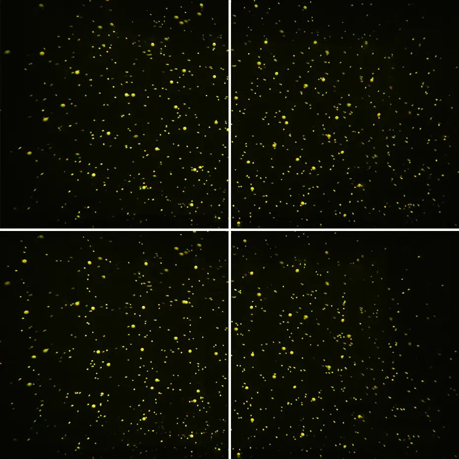 MIYA Laser 5W Yellow Firefly Laser Light Waterproof Outdoor Lights